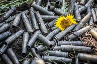 Карта бойових дій станом на 16 серпня