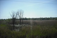 У Луцьку природний заказник отримає нові «кордони»
