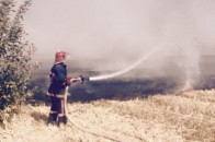 Вогнеборці не можуть оцінити масштаби пожежі поблизу Луцька