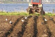 Чому на Волині занепадає сільськогосподарський бізнес
