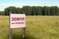 На Волині черговий масовий розпродаж землі
