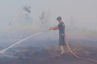 Волинь охопили пожежі