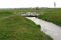 У Криму окупанти заборонили фермерам користуватися водою з річок