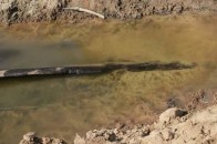 На Волині знайшли тисячолітній човен ФОТО