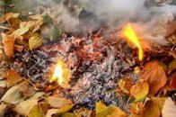 До яких наслідків призводить традиція лучан палити листя