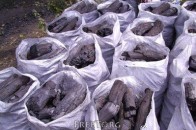 Волинянина спіймали на незаконному вугільному бізнесі