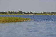 Головного земельника Волині звинувачують у незаконних земельних оборудках