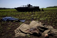 ООН: на сході України вже загинуло майже 8 тисяч людей