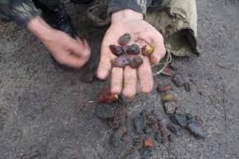 На Волині засудили чотирьох заїжджих бурштинокопачів