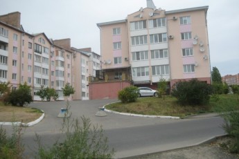 Лучани хочуть контролювати «гонщиків» за допомогою «зебр»
