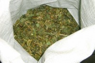 У Луцьку жінка просто на ринку намагалася продати наркотики