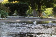 У Луцьку з люка забив фонтан ВІДЕО