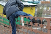 На Волині затримали ще одного «дачного злодія»