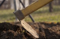 Поблизу Луцька троє жінок влаштували побоїще через клаптик землі