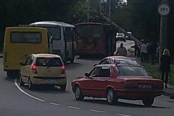 Мер Луцька про інцидент з електроопорою: зазвичай стовпи у місті збивали «крутелики»