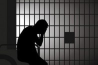За крадіжку птиці двоє волинян відсидять понад п'ять років за ґратами