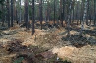 Бурштиновий фронт на Волині: старателі роз'їхалися