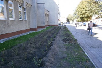 Місто на Волині «зацвіте» за 50 тисяч гривень