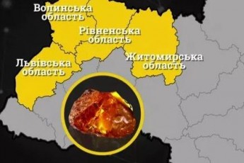 Бурштинове протистояння. Що насправді коїлося у волинських лісах