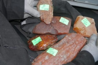 На Волині затримали «Рено» з бурштином. ФОТО