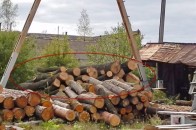 У Ковелі викрали дерева майже на 40 тисяч гривень