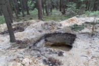 На Волині може з’явитися «бурштинове» підпримство
