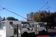 У центрі Луцька обірвалася лінія електропередач. ФОТО