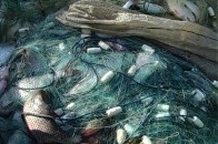 За місяць на Волині затримали 60 браконьєрів