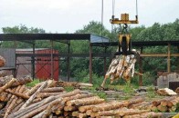 На Волині хочуть ліквідувати лісгоспи