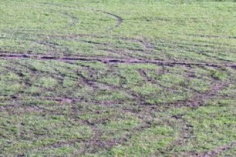 В Луцьку вандали зіпсували футбольне поле. ВІДЕО