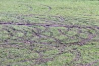 В Луцьку вандали зіпсували футбольне поле. ВІДЕО