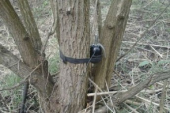 На Луганщині український боєць підірвався на невідомому пристрої