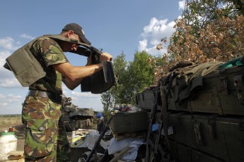 Українські бійці волають про допомогу через скажену навалу мишей, які з'їдають навіть каски – волонтер