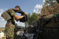 Українські бійці волають про допомогу через скажену навалу мишей, які з'їдають навіть каски – волонтер