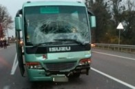 На Львівщині розбився шкільний автобус, постраждали діти. ФОТО