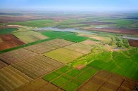 Росіянка незаконно отримала у власність понад три гектари волинської землі