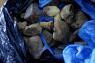 Через «зелений коридор» на Волині намагалися вивезти 5 кілограмів бурштину. ФОТО