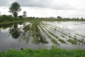 Гунчик хоче закрити кілька водних управлінь Волині