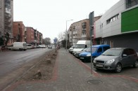 Заради чергового ТРЦ у Ковелі зрубали молоді дерева. ФОТО