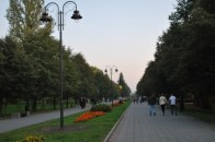 У луцькому парку нарешті встановлять новий туалет?