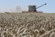Президент продовжив мораторій на продаж землі