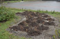 У Ковелі добряче «попрацювали» вандали. ФОТО