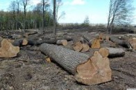 Двом браконьєрам з Волині «світить» по три роки за ґратами