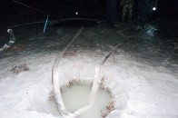 У волинському лісі на «гарячому» затримали старателів