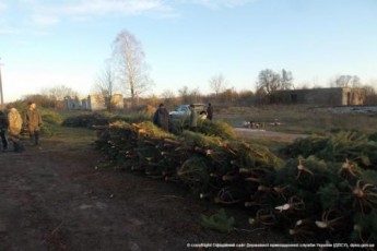 Волиняни здали прикордонникам нелегалів