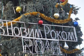Міськрада витратить 200 тисяч на новорічні ялинки Луцька