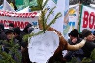 Під Раду принесли криваві коров'ячі голови. ФОТО