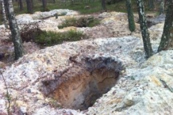 Бурштинова «лихоманка» на Волині: швидкі гроші та екологічні катастрофи