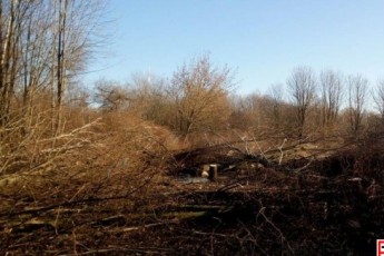 У Луцьку таки встановлять межі скандального парку