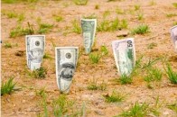 Аграрні потреби на Волині фінансуватимуть по-новому